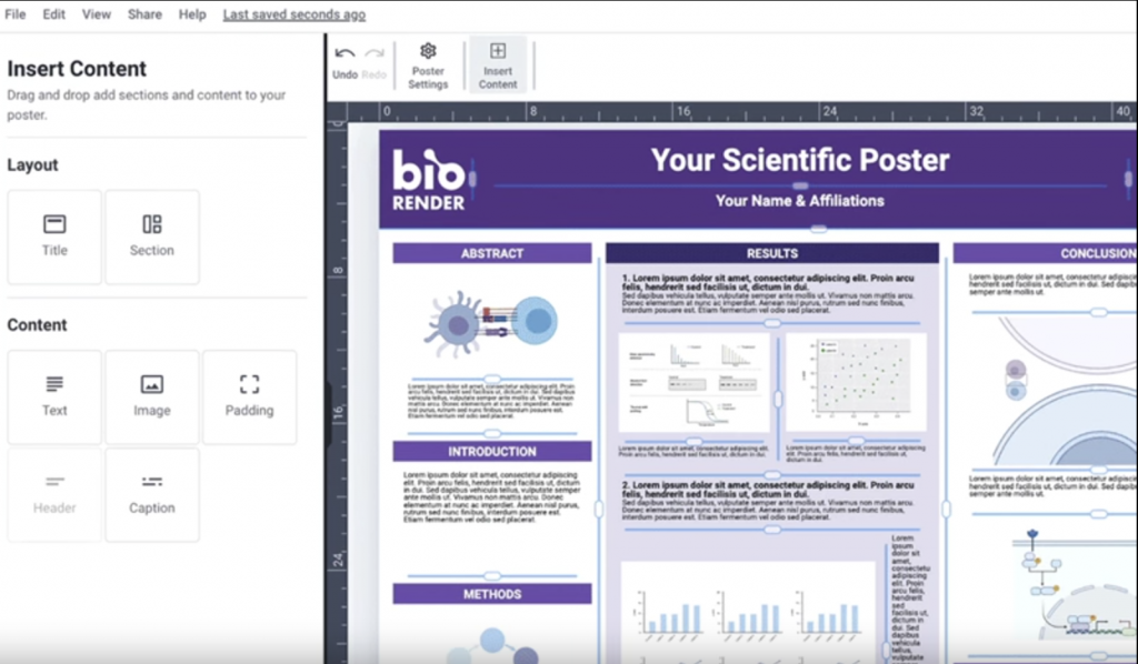 Birender poster software